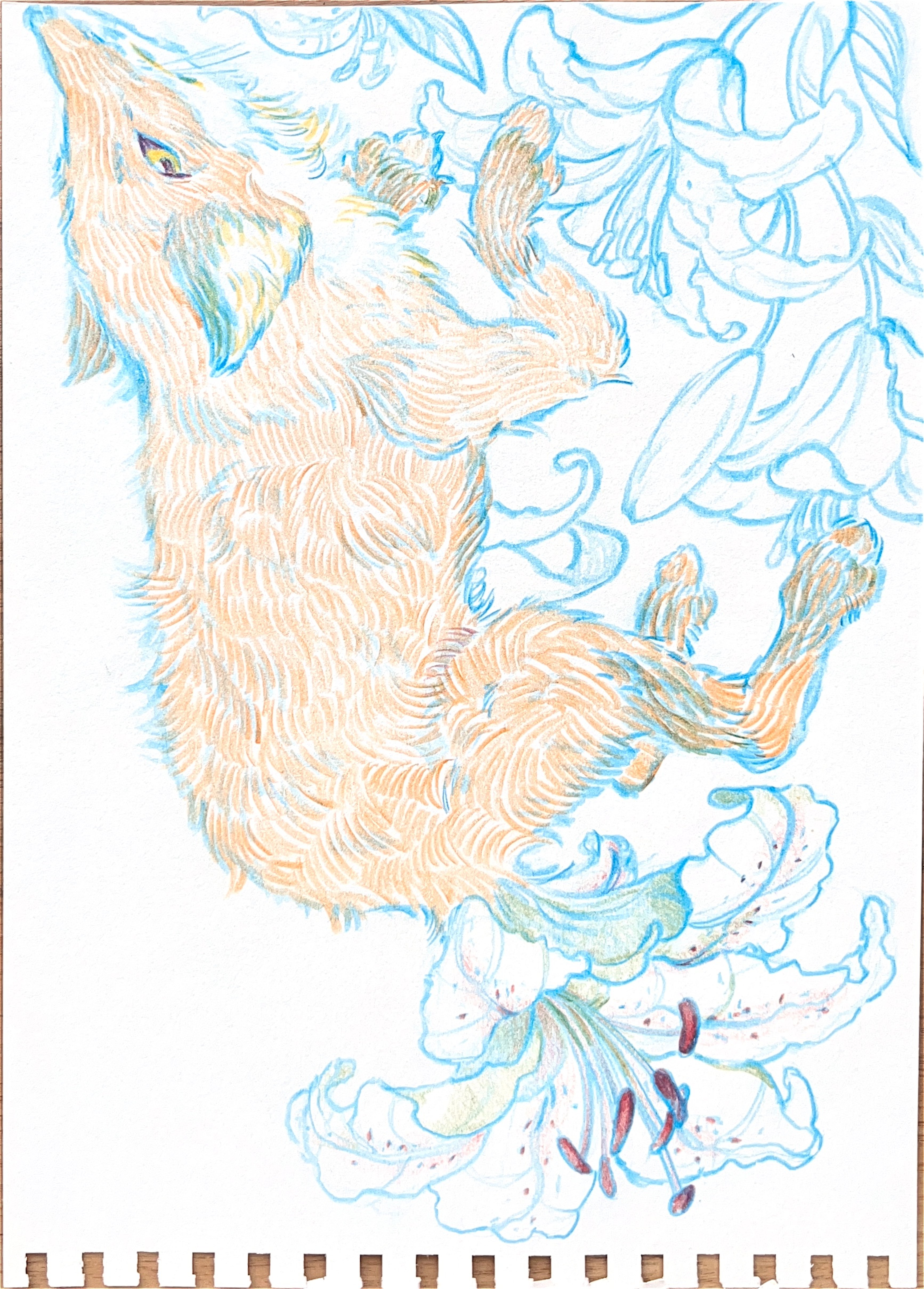 Isabel artwork 1
